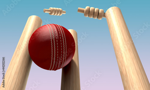 Cricket Ball Hitting Wickets