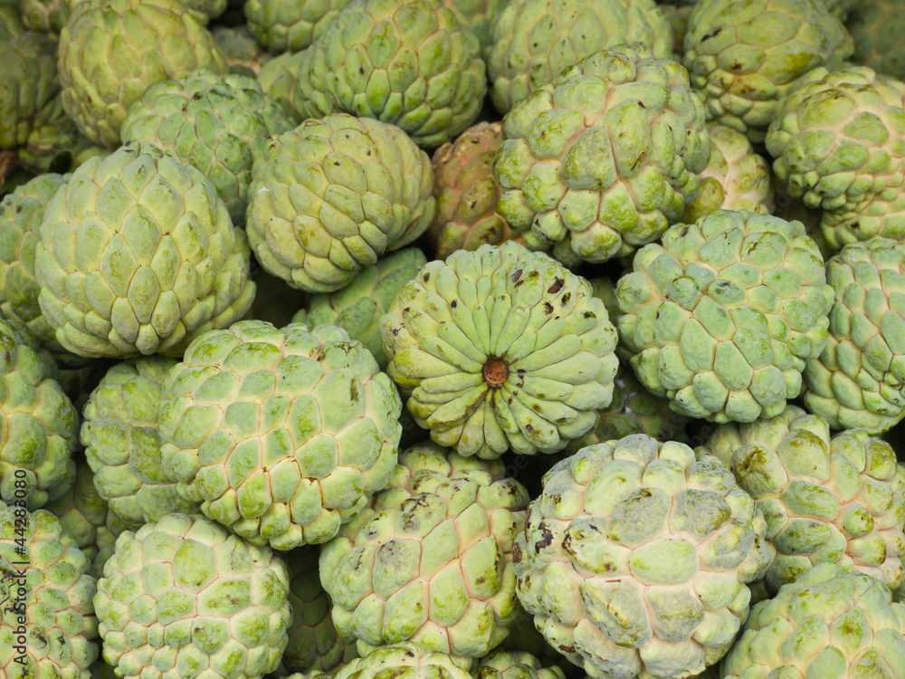 Custard apple Custard apple