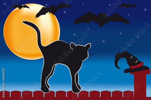 Halloween Kater New