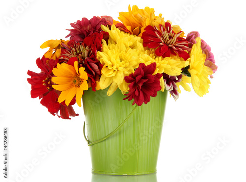 Fototapeta Naklejka Na Ścianę i Meble -  bouquet of beautiful summer flowers in bucket, isolated on