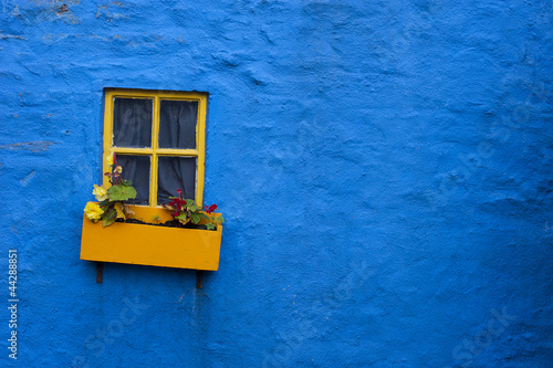 yellow window flower box on blue wall © Gabriel Cassan