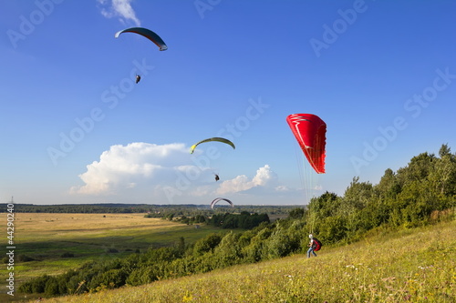 Multiple paragliders soar in the air amid wondrous landscape