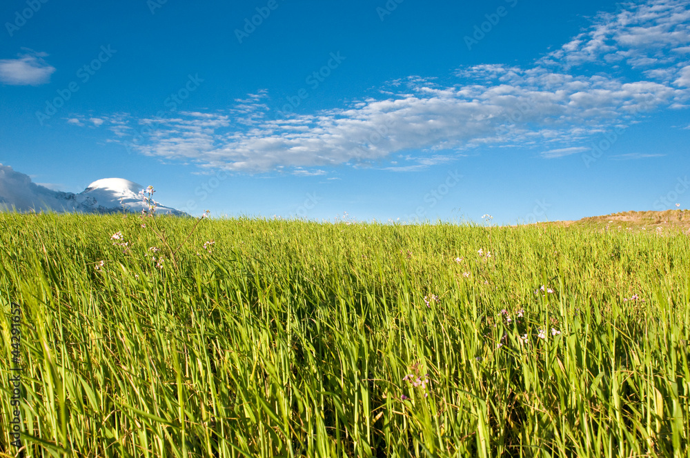Naklejka premium Landscape and snow mountain