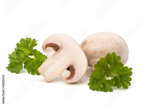 Champignon mushroom and fresh parsley