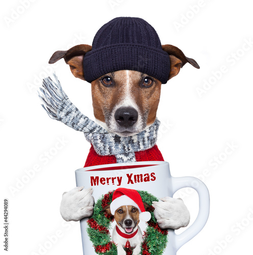 christmas dog with cup © Javier brosch