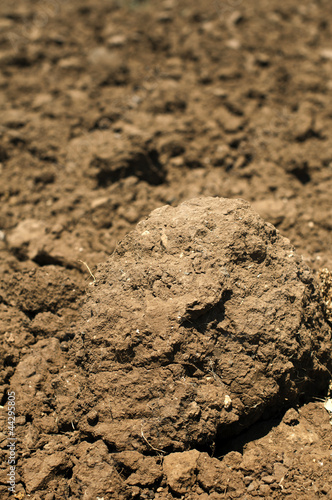 Agricultural land soil close up