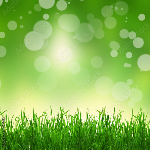 Natural green background