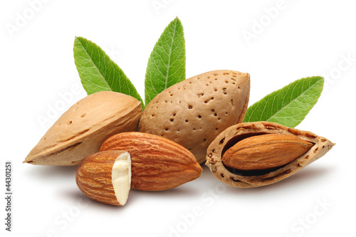 Foto almonds, shelled almonds and leaves