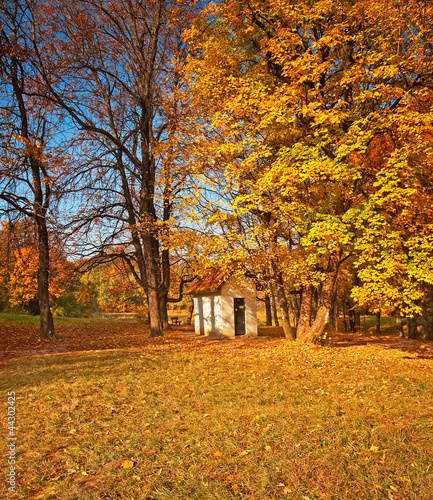 Small house in the forest i...