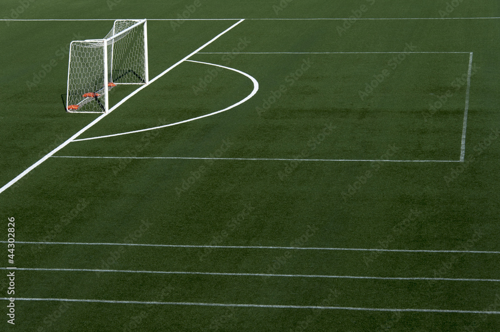 Fototapeta premium soccer field