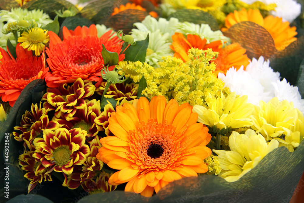 herbslicher blumenstrauß herbslicher blumenstrauß