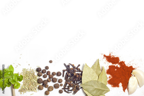 Herbs and spices border on white background