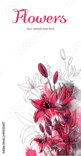 Fototapeta Naklejka Na Ścianę i Meble -  !Lilly