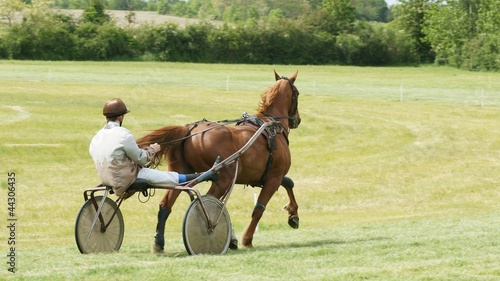 Course hippique #39