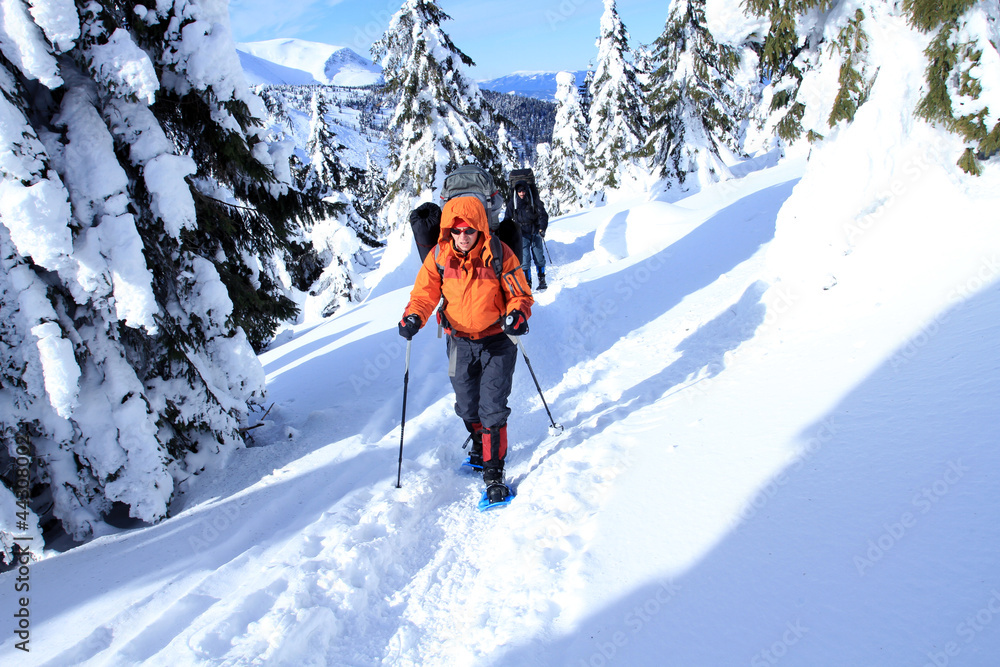 Winter hike. Winter hike.