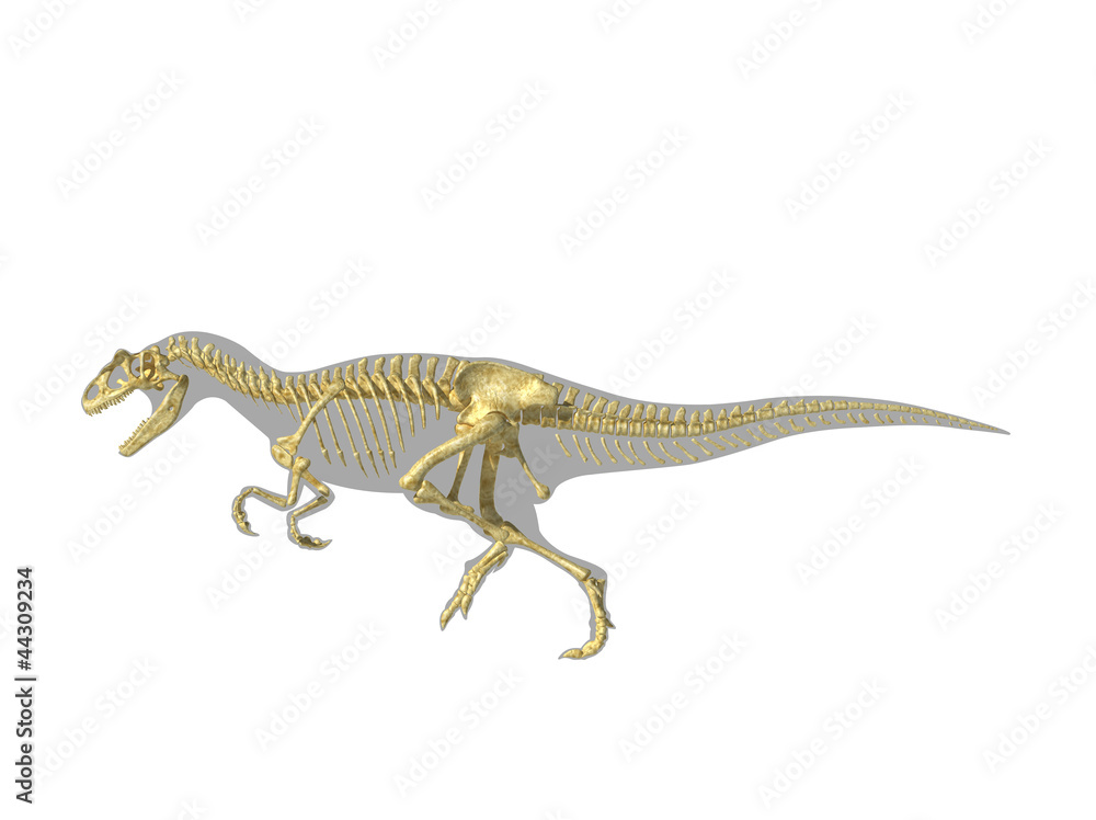 Naklejka premium Allosaurus dinosaur silhouette with photo-realistic skeleton.