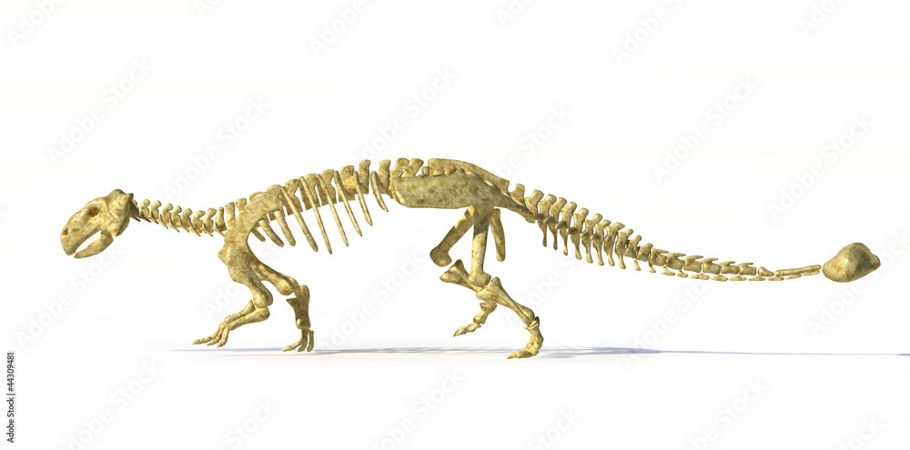 Photorealistic 3 D rendering of full skeleton of an Ankylosaurus Photorealistic 3 D rendering of full skeleton of an Ankylosaurus