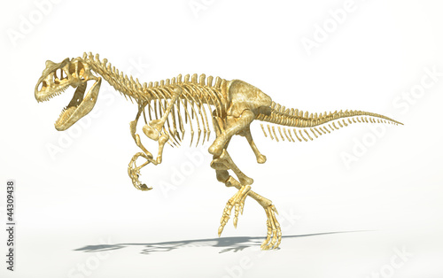 Allosaurus skeleton photo-realistic, scientifically correct.