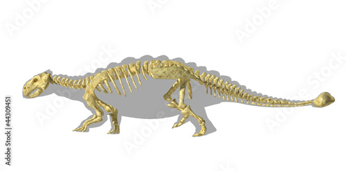 Ankylosaurus dinosaurus silhouette, with full skeleton superimpo
