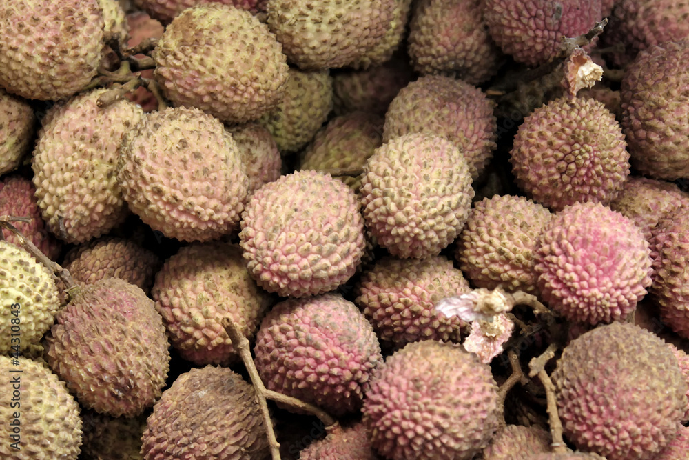 Lychee Lychee