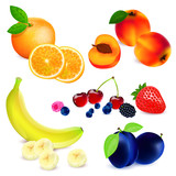 Vector background with different sorts of fruit
