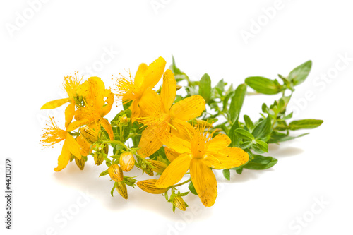 St John's wort