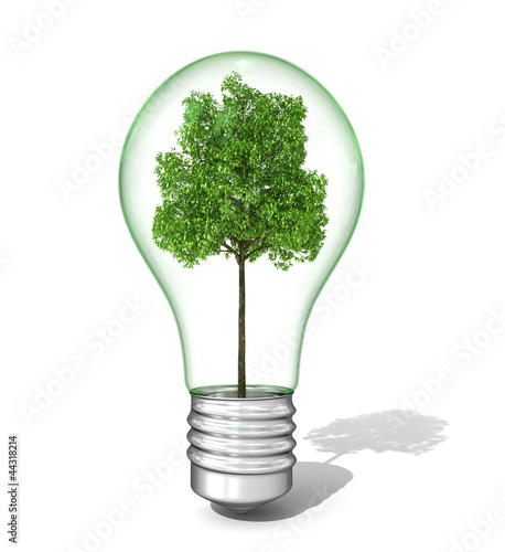 3d light bulb with tree inside