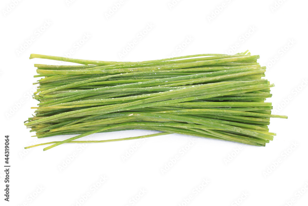 Fresh Chives Fresh Chives