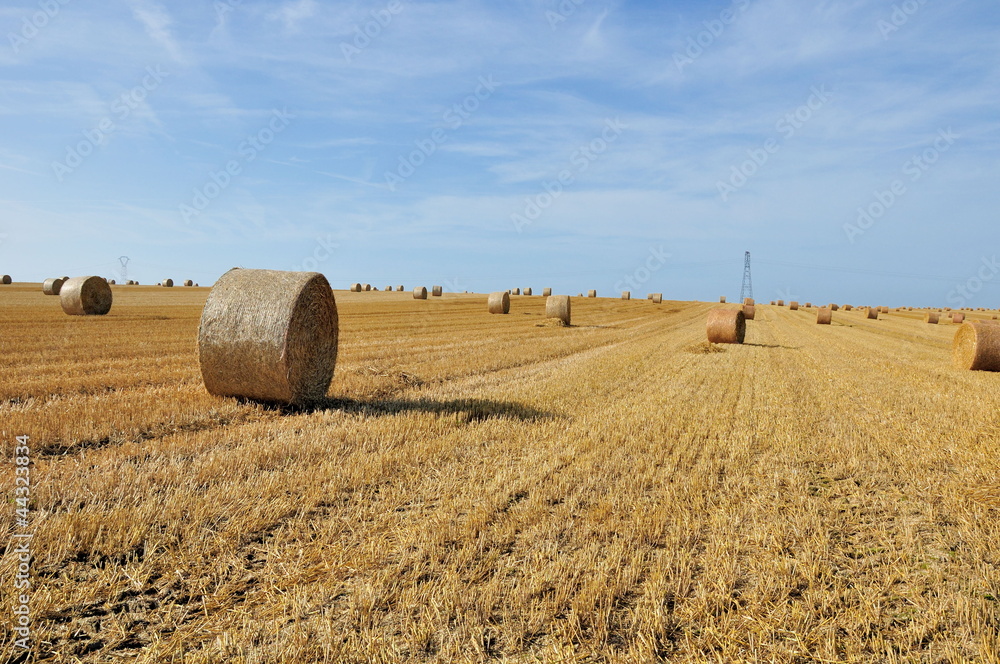 Fototapeta premium Ballots de paille dans l'EURE