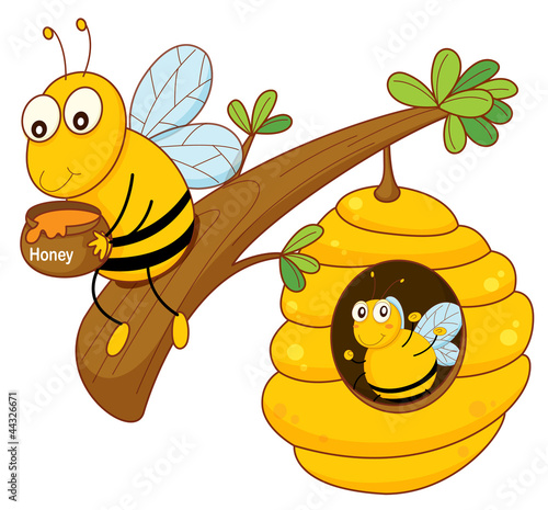 honey bee and comb