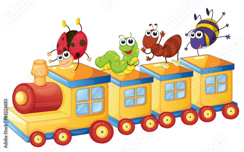 various insects on train