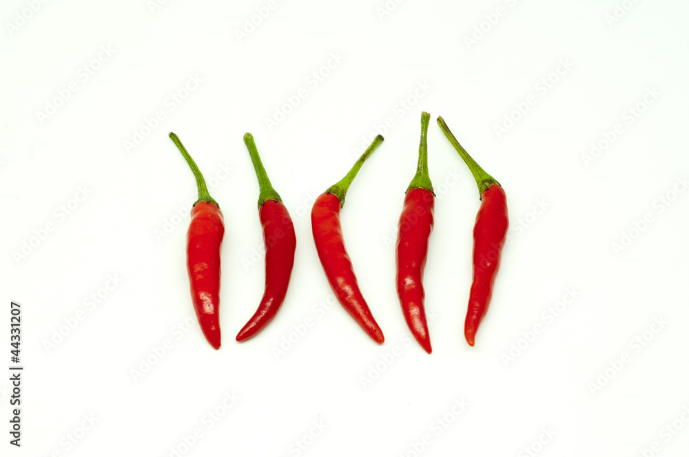 Thai red hot chili on white background