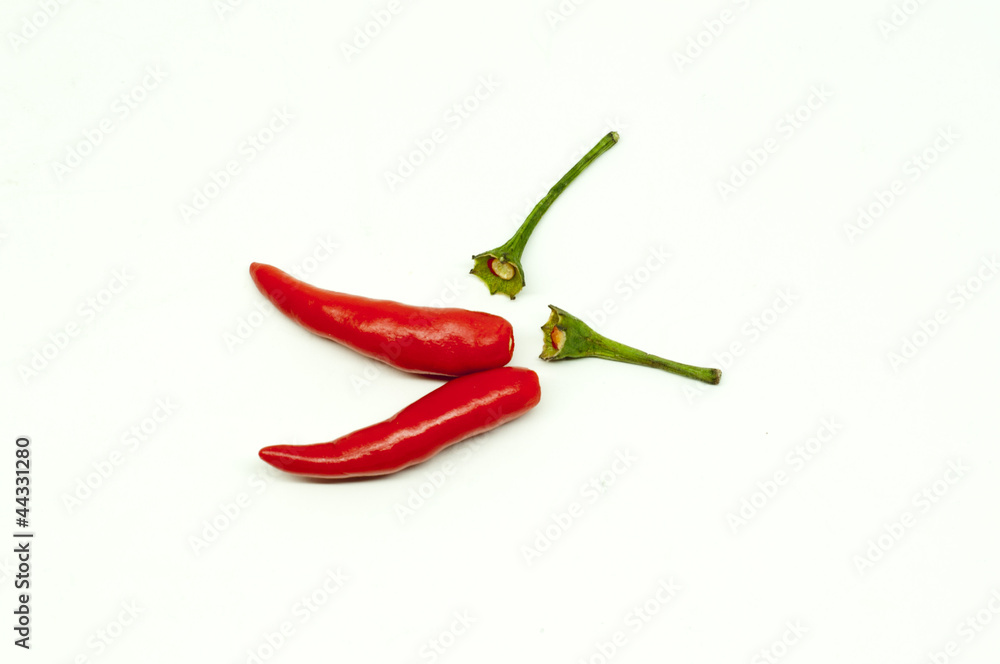 Separate Thai red hot chili on white background