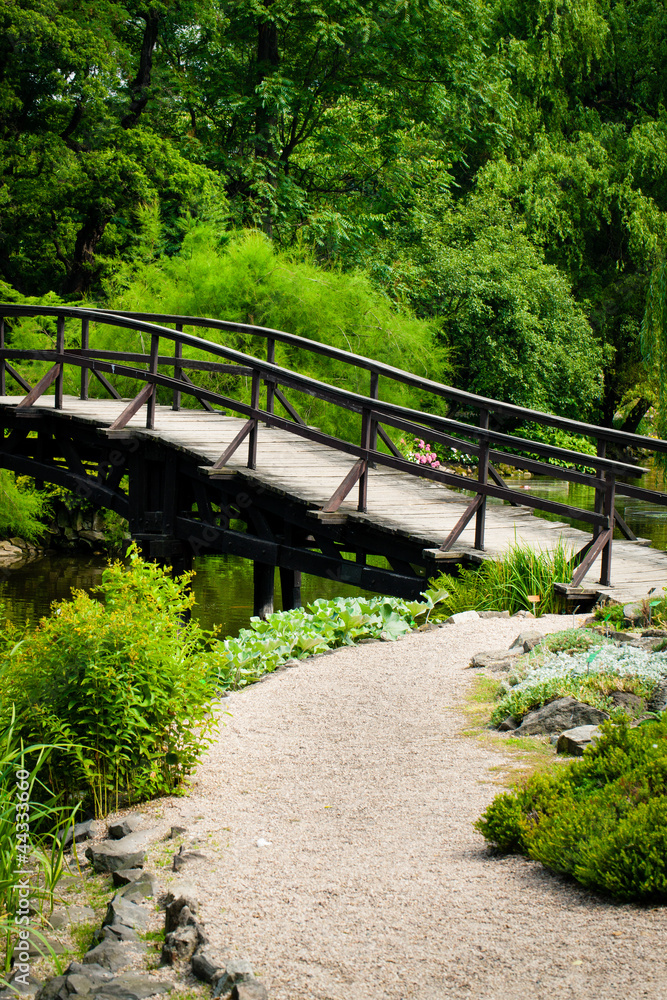 Japanese Garden Bridge