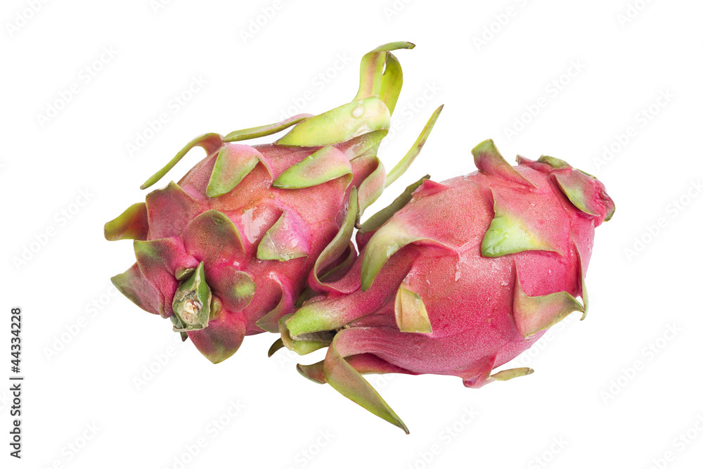 Pitaya Pitaya