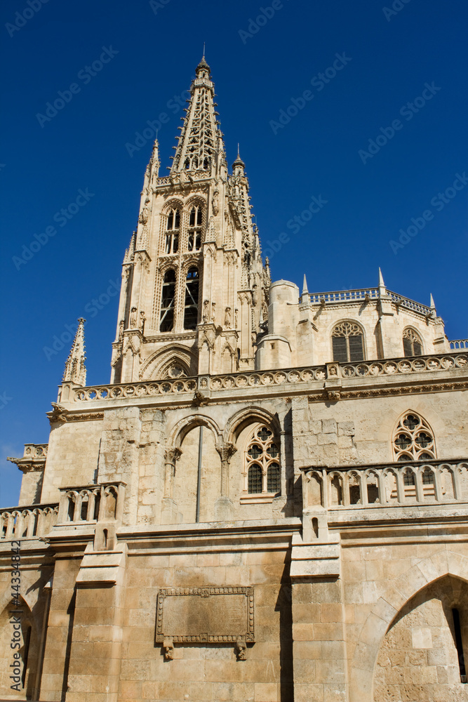 The South Face of Burgos Gothic Cathedral. Spain