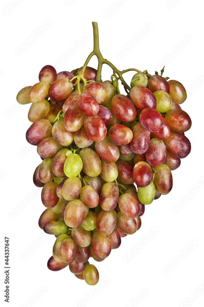 Fototapeta premium Pink grape cluster on white