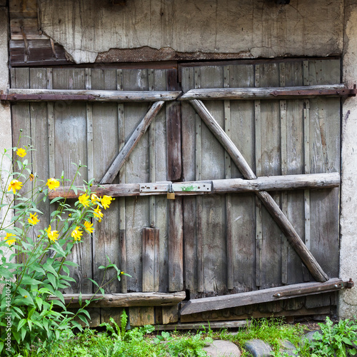 Old wooden barn door © romantsubin