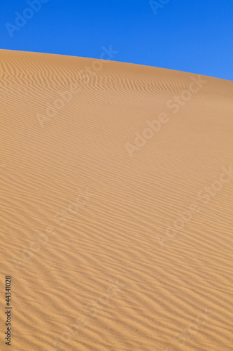 sand dune in sunrise in the desert