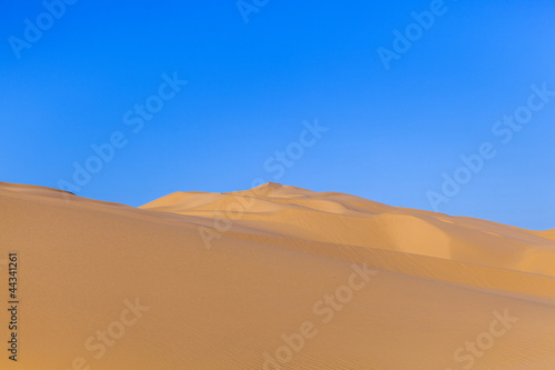 sand dune in sunrise in the desert