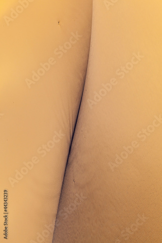 Fototapeta Naklejka Na Ścianę i Meble -  sand dune in sunrise in the desert