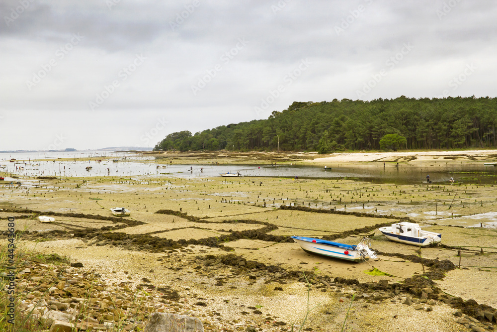 Fototapeta premium Shellfish farming on Ulla mouth