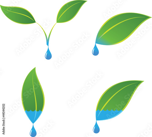 Green eco plant and water logo concepts