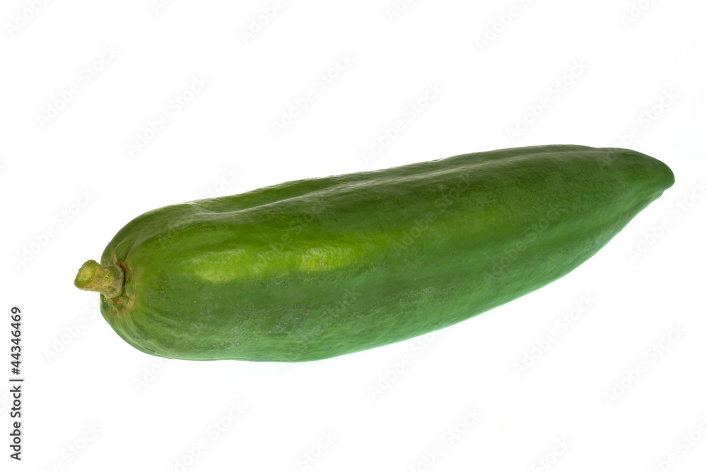 Green papaya isolated on white background Green papaya isolated on white background