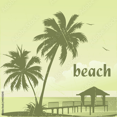 beach-38