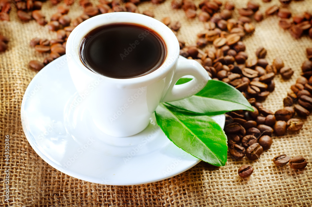 Fototapeta premium coffee