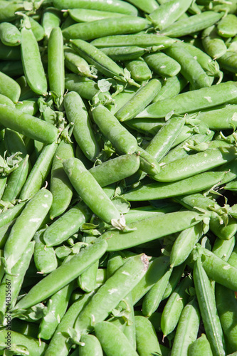 fresh green pea pods