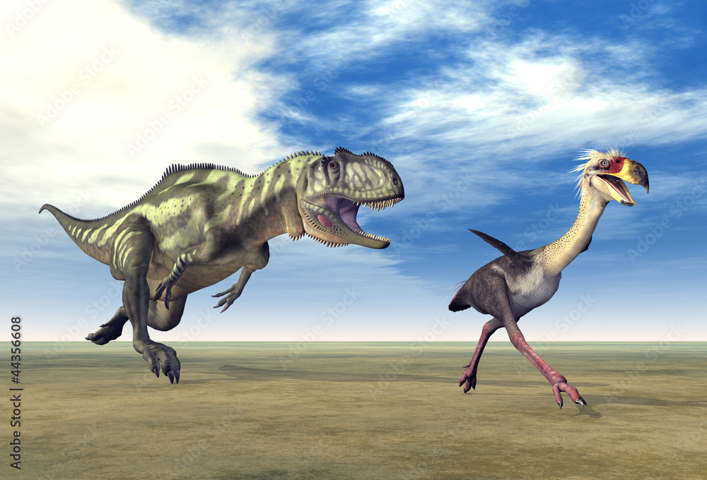 Fototapeta premium Yangchuanosaurus und Phorusrhacos