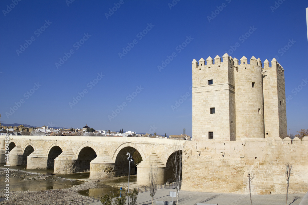 Tower of Calahorra and Roman bridge. Cordoba.
