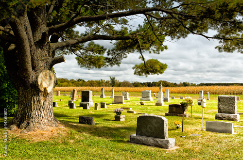 Картината върху платно Prairie Cemetary